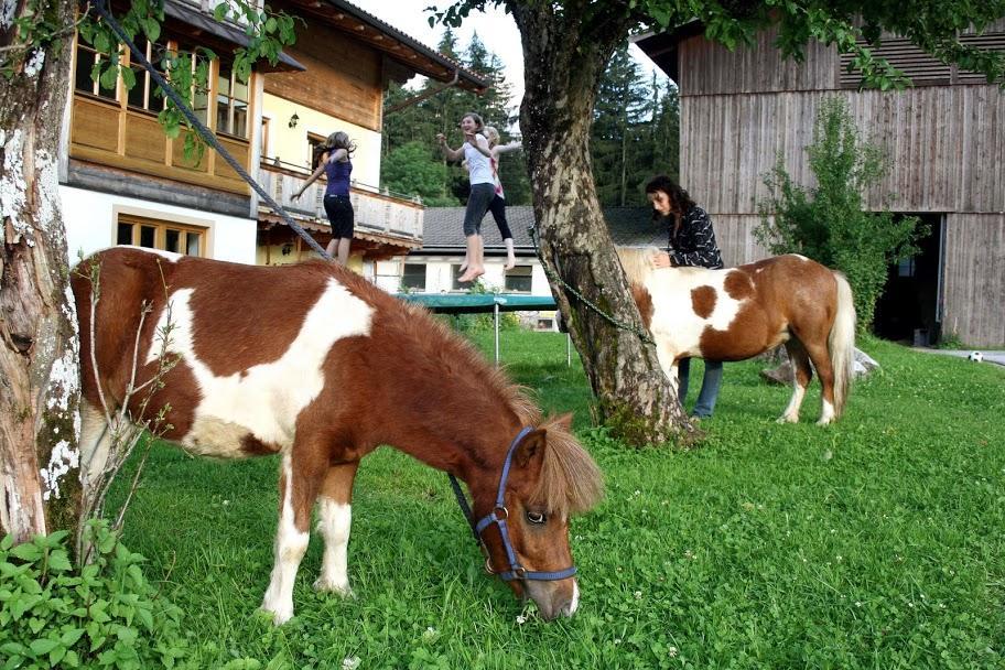Haus Loferer Lägenhet Sankt Martin bei Lofer Exteriör bild